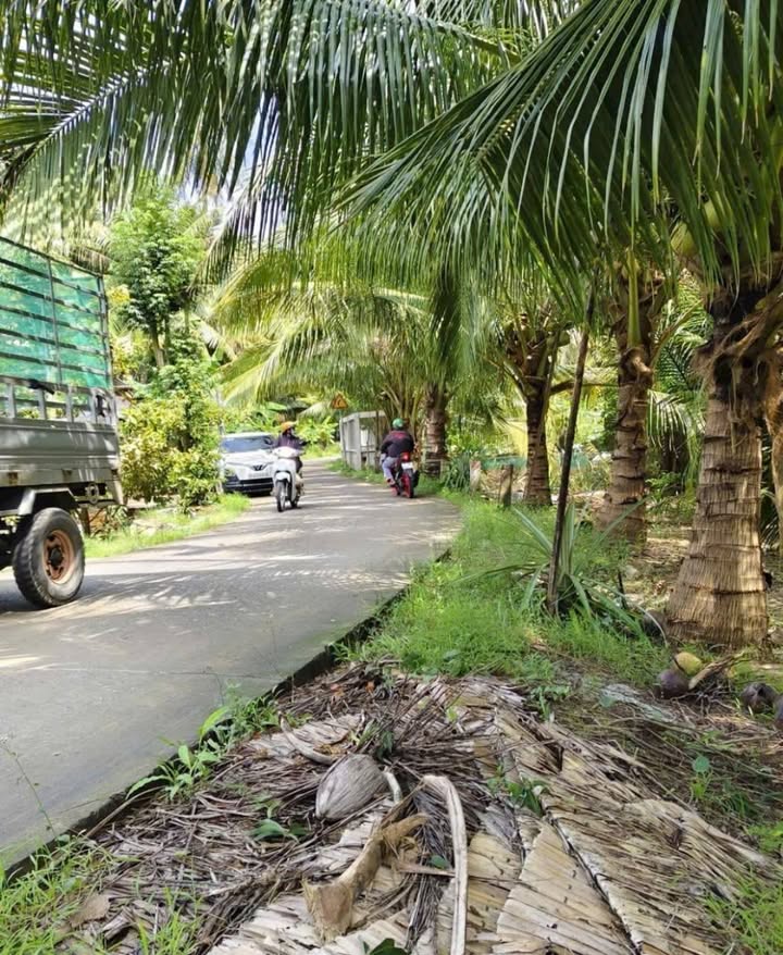 Đất thổ cư Định Thủy 23,000m² giá 900 triệu - Tặng nhà cấp 4!