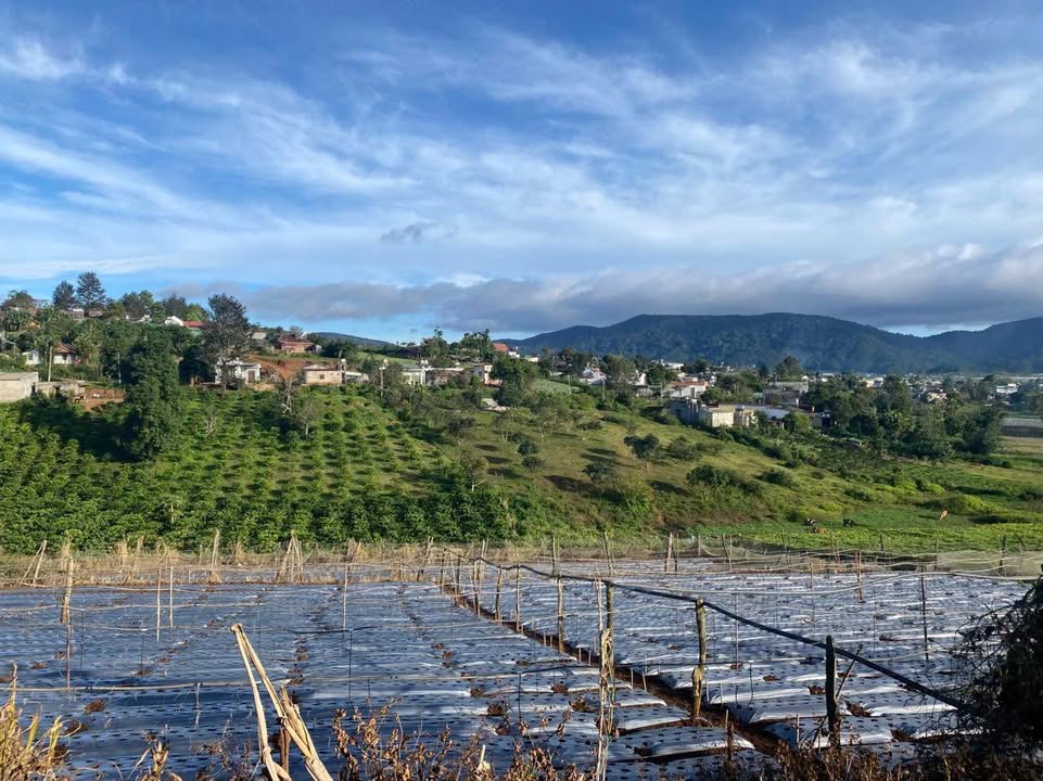 Lô đất Quảng Lập, Đơn Dương 300m² - View cánh đồng thoáng đãng, đầu tư lý tưởng!