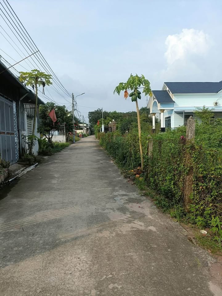 Đất thổ cư An Tây, Bến Cát 221m² giá 1.45 tỷ - Cơ hội đầu tư không thể bỏ lỡ!