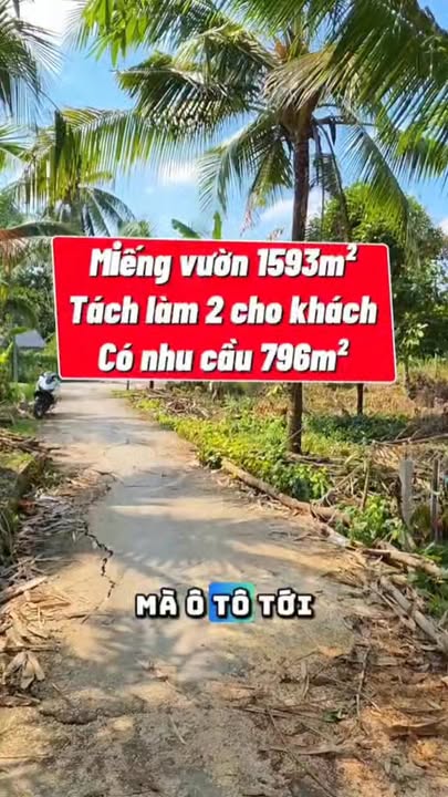 Đất vườn 1593m² Mỹ Khánh - Cơ hội đầu tư sinh lời hấp dẫn!