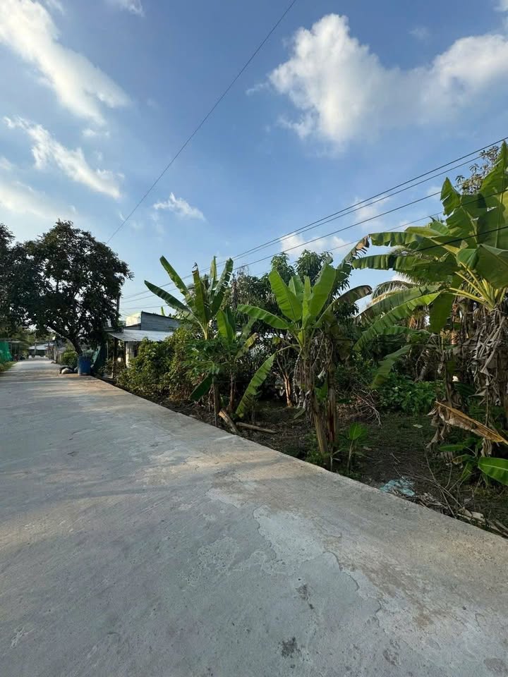 Đất nền Trường Lạc Ô Môn 70m² chỉ 300 triệu - Sổ hồng chính chủ