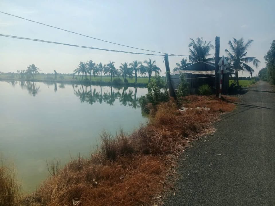 Đất nền 17.000m² tại xã Láng Biển, huyện Tháp Mười, giá 6.76 tỷ - Cơ hội đầu tư tuyệt vời!