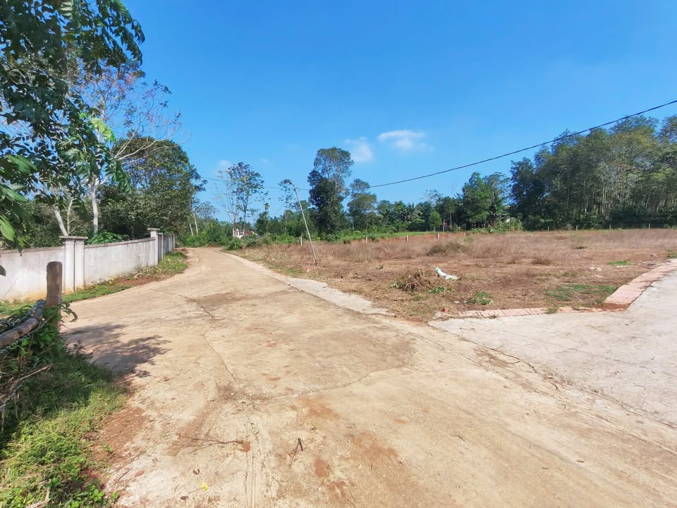 Đất nền 2000m² tại Xuân Bình, Như Xuân - Cơ hội đầu tư tuyệt vời!