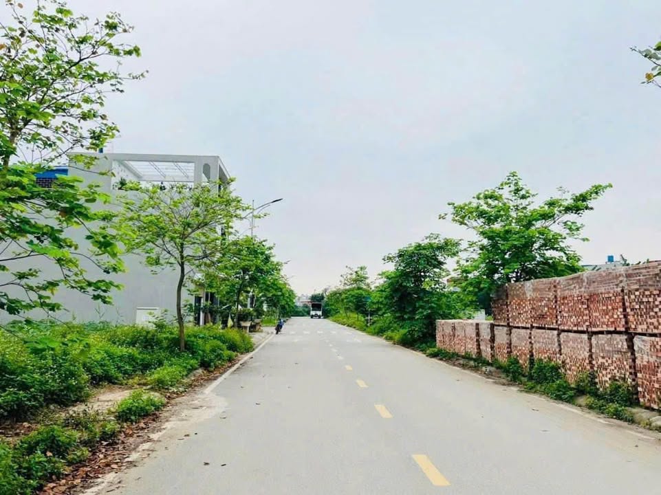 Lô đất An Tảo Hạ, TP Hưng Yên 118m² giá 5 tỷ - Đường rộng, tiện ích đầy đủ!