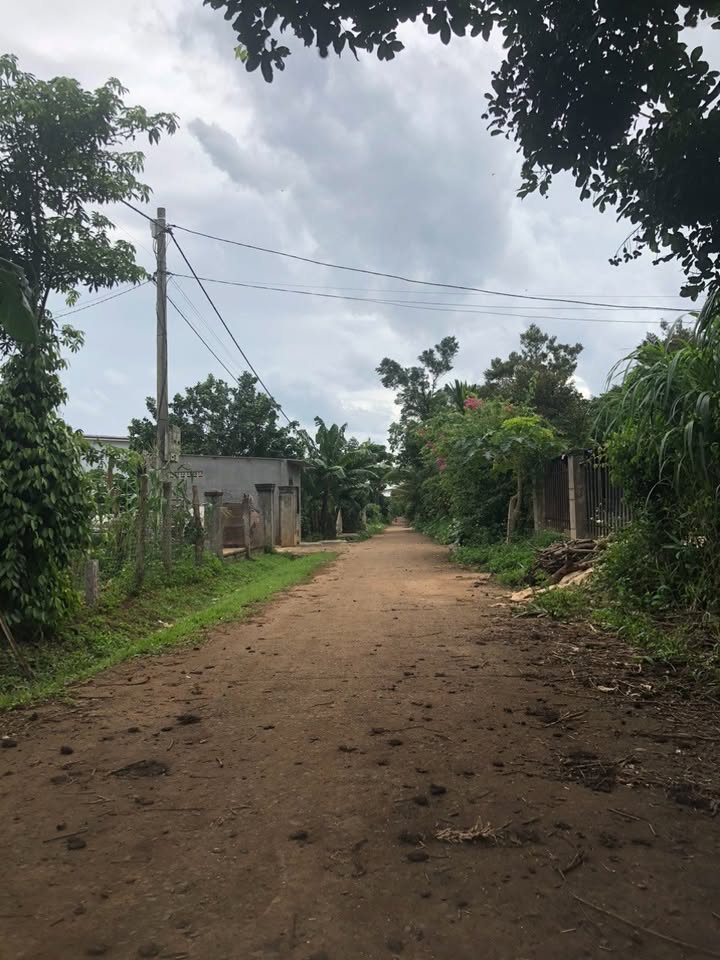 Đất nền Ea Tiêu 180m² giá 320 triệu - Cách sân bay chỉ 7km!