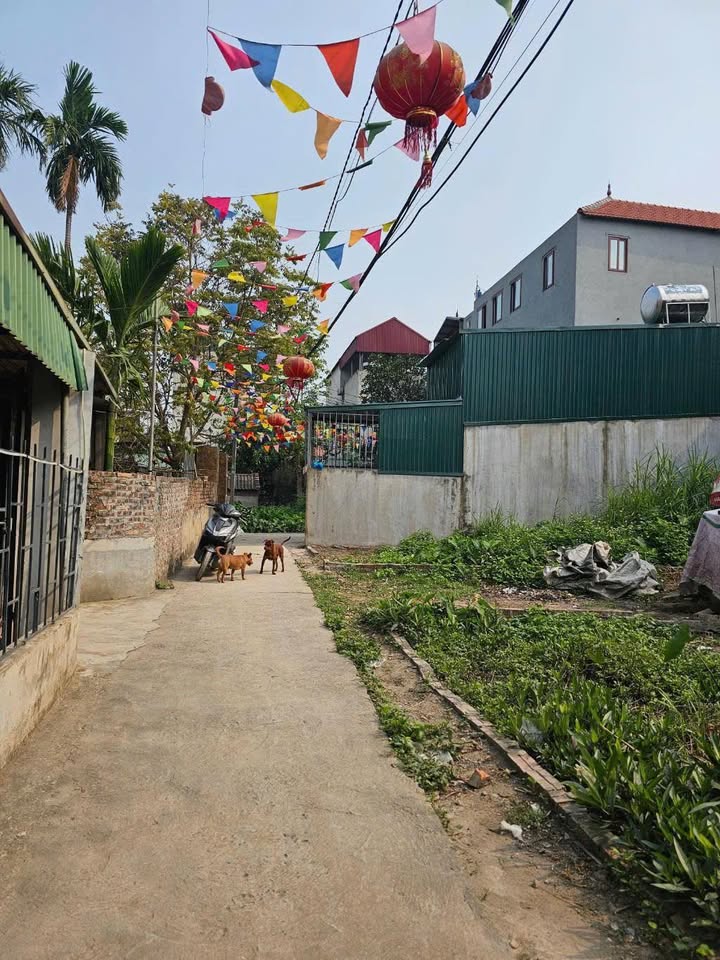 Đất lô góc Khánh Hà, Thường Tín 42m² giá 3.1 tỷ - Đầu tư sinh lời ngay!
