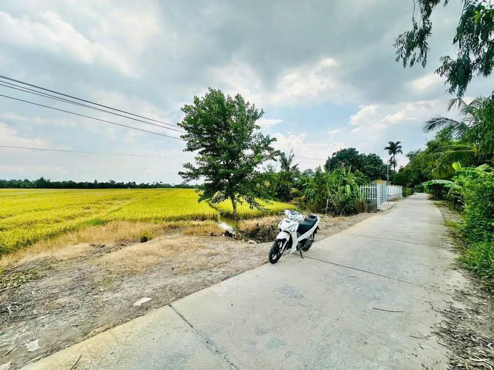 Đất Ruộng 9.550m² Xã Phú Quới, Vĩnh Long - Ôtô Tới Đất, Giá Chỉ 3 Tỷ!