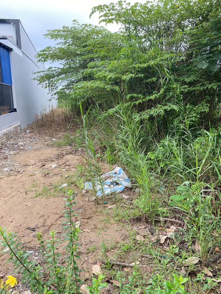 Đất mặt tiền đường huyện 35, xã Tân Long Hội, 217m² - Kinh doanh thuận lợi!