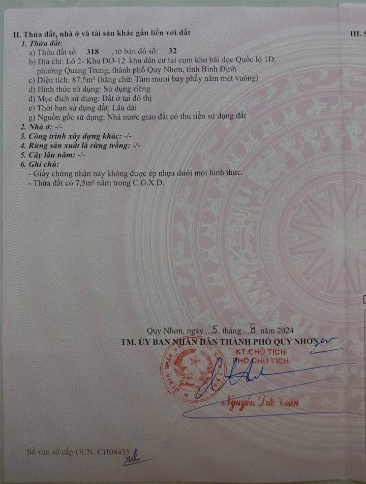 Đất nền Trạng Quỳnh, Quang Trung, Quy Nhơn 87,5m² giá 3,6 tỷ - Tiềm năng đầu tư lớn!