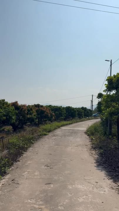 Đất nền Trù Hựu Lục Ngạn 1139m² giá 1 tỷ - Cơ hội đầu tư hấp dẫn!