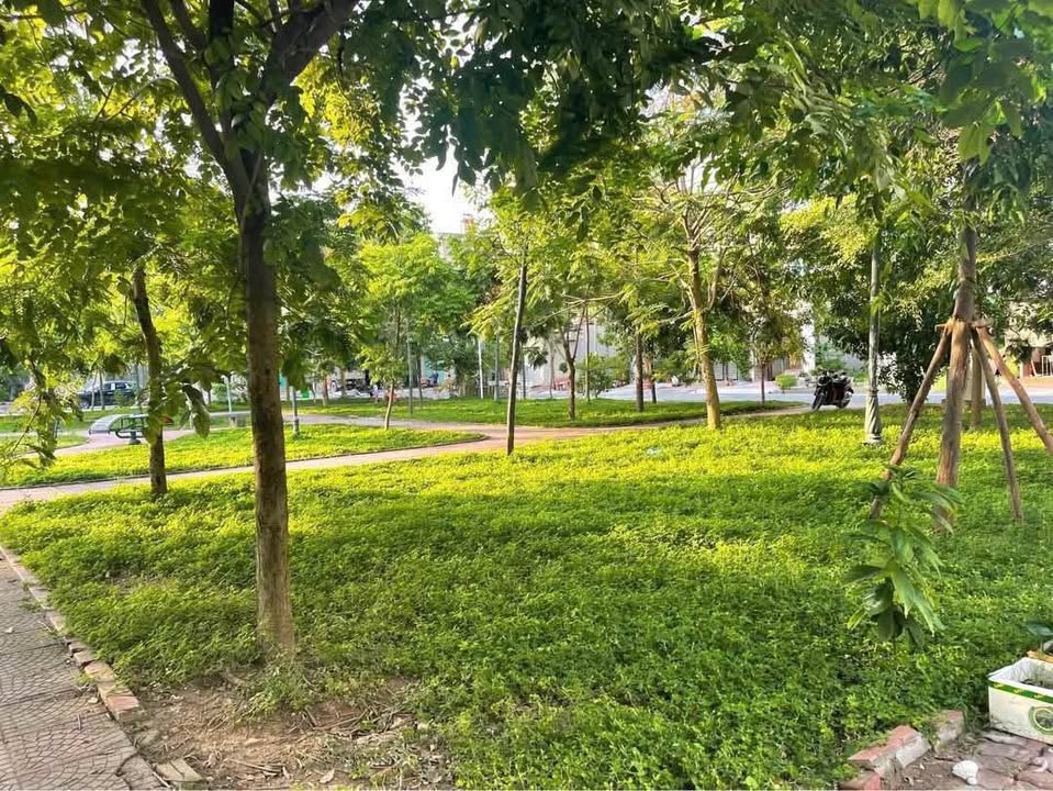 Đất tặng nhà cấp 4 Khả Lễ 1, Bắc Ninh 89.6m² - View vườn hoa đẹp tuyệt vời!