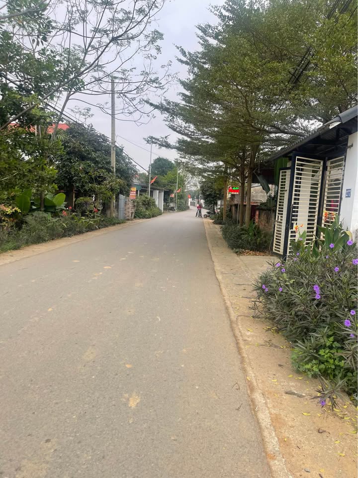 Đất nền Yên Bài, Ba Vì 346m² - Mặt đường 7.2m, Đầu tư sinh lời!