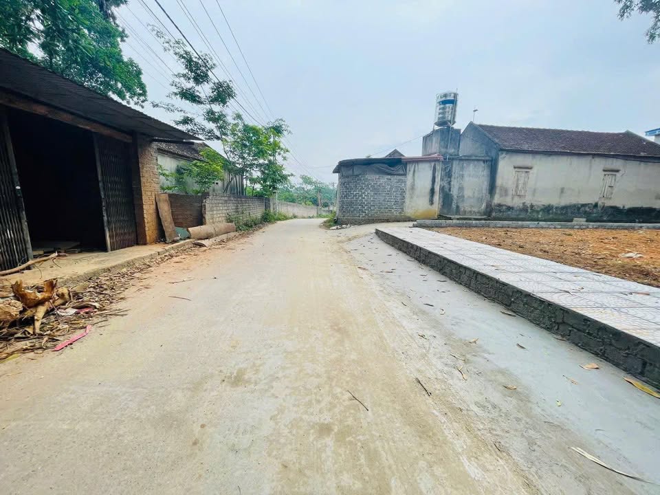 Đất thổ cư lô góc Thị trấn Thắng, Hiệp Hòa 241.5m² giá 2.5 tỷ - Cơ hội đầu tư tuyệt vời!