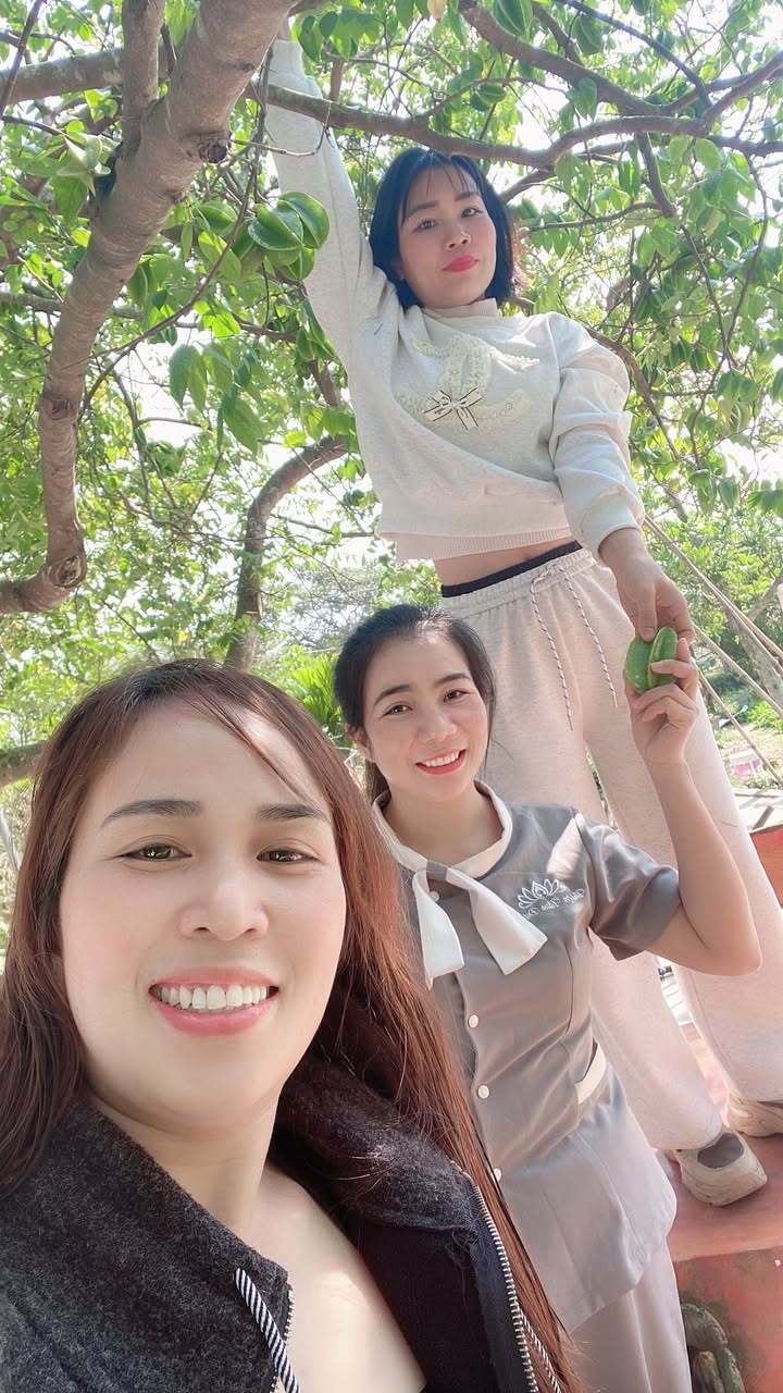 Nhà mái thái Đông Lĩnh 240m² giá chỉ 2 tỷ - Không thể bỏ qua!