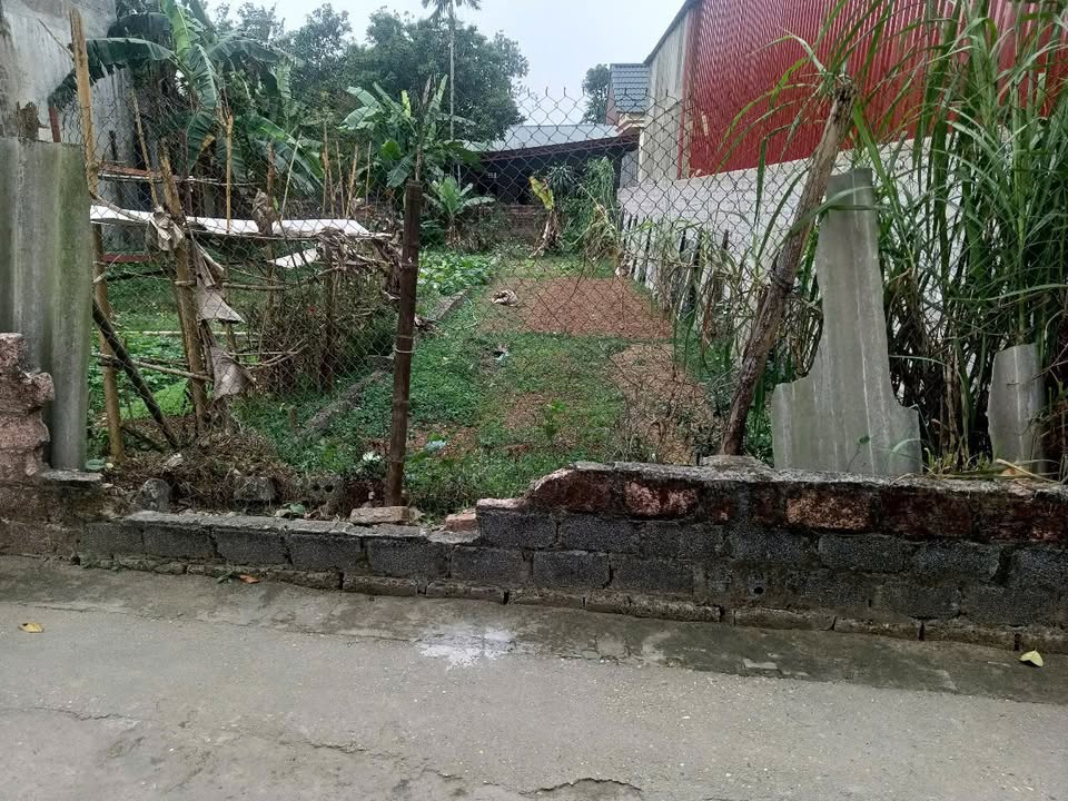 Đất Vỵ Thủy Tùng Thiện 105m² giá 1 tỷ - Tiện ích đa dạng