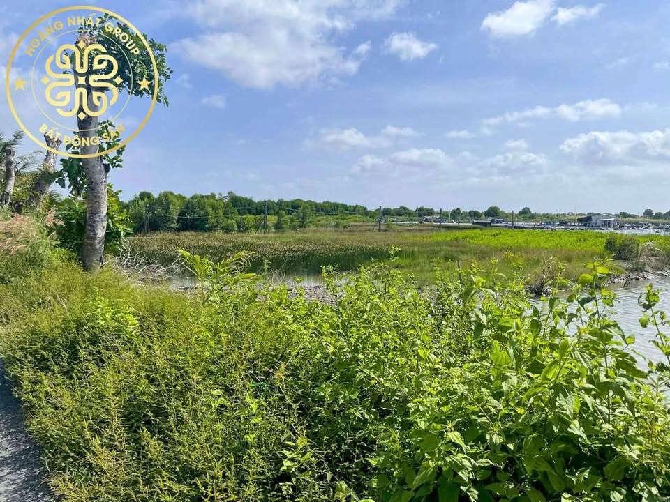 Đất nền 500m² tại xã Tân Đức, giá 400 triệu - Đường ô tô vào tận nơi!