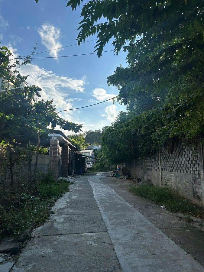 Cặp đất kiệt Nguyễn Lương Bằng 256m² giá 6.2 tỷ - Đầu tư sinh lời tại Đà Nẵng!