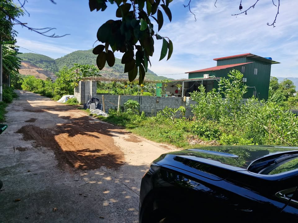 Đất nền Hòa Ninh, Đà Nẵng 300m² giá 1.65 tỷ - Cơ hội đầu tư tuyệt vời!