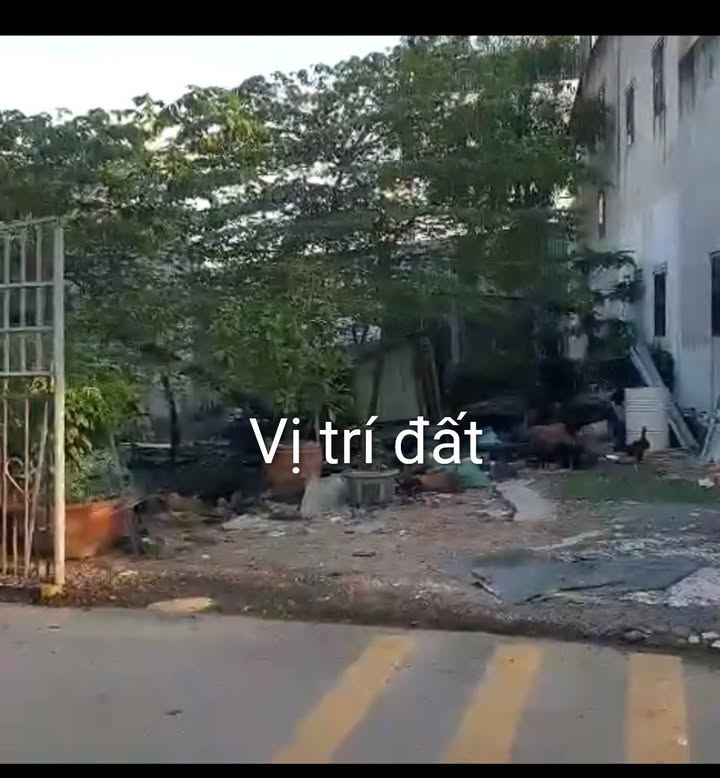 Đất thổ cư 150m² tại Tân Hiệp, Hóc Môn - Giá chỉ 1.7 tỷ, gần trường cấp 2!