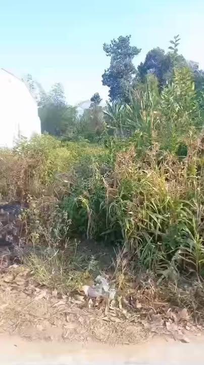 Đất nền Hòa Tân, Cầu Kè 408m² giá 370 triệu - Đầu tư sinh lời ngay!