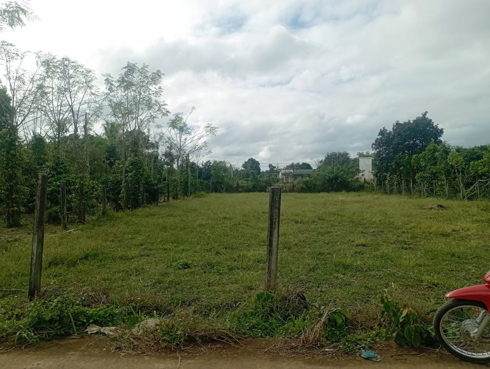 Đất nền chính chủ Buôn Ma Thuột 1083m² giá 3.1 tỷ - Đường thông thoáng, đầu tư sinh lời!