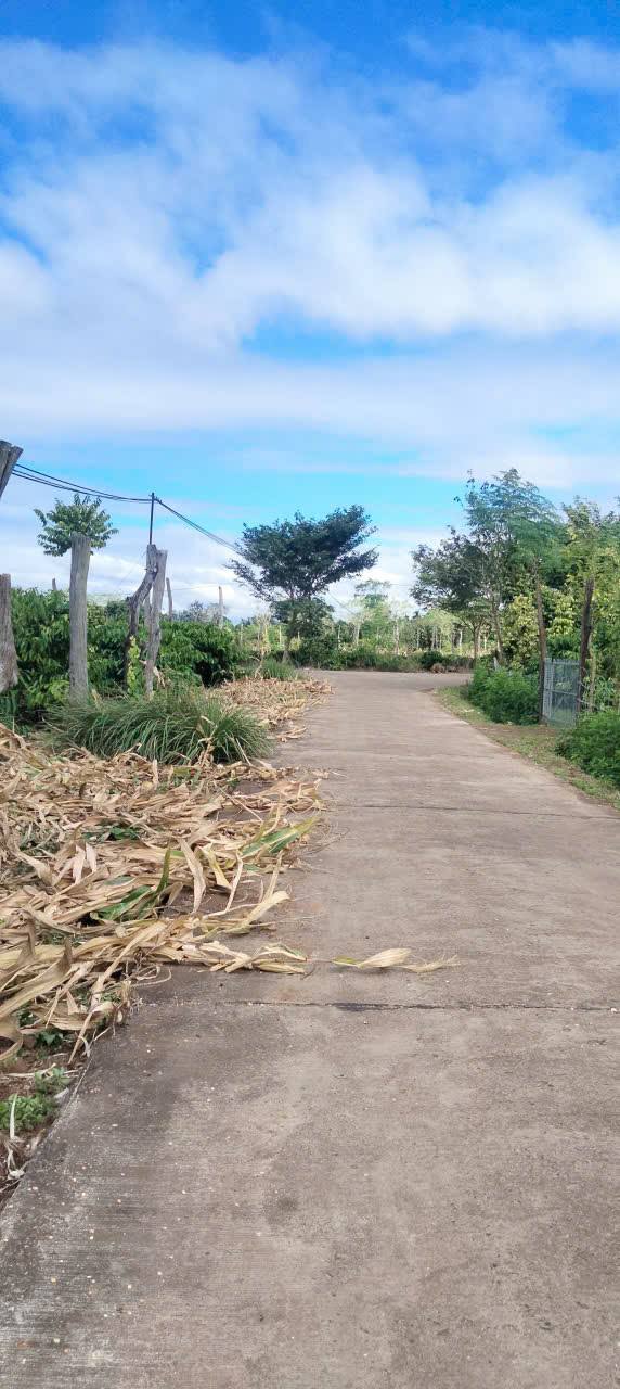 Đất mặt tiền 200m tại Hòa Khánh, Buôn Ma Thuột - Giá chỉ 4.15 tỷ, bớt lộc!