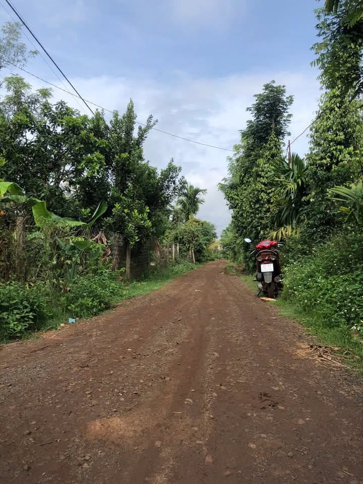 Đất nền Buôn Jung, xã Ea Ktur, Đắk Lắk - 250m² chỉ từ 300 triệu - Đầu tư sinh lời tốt!