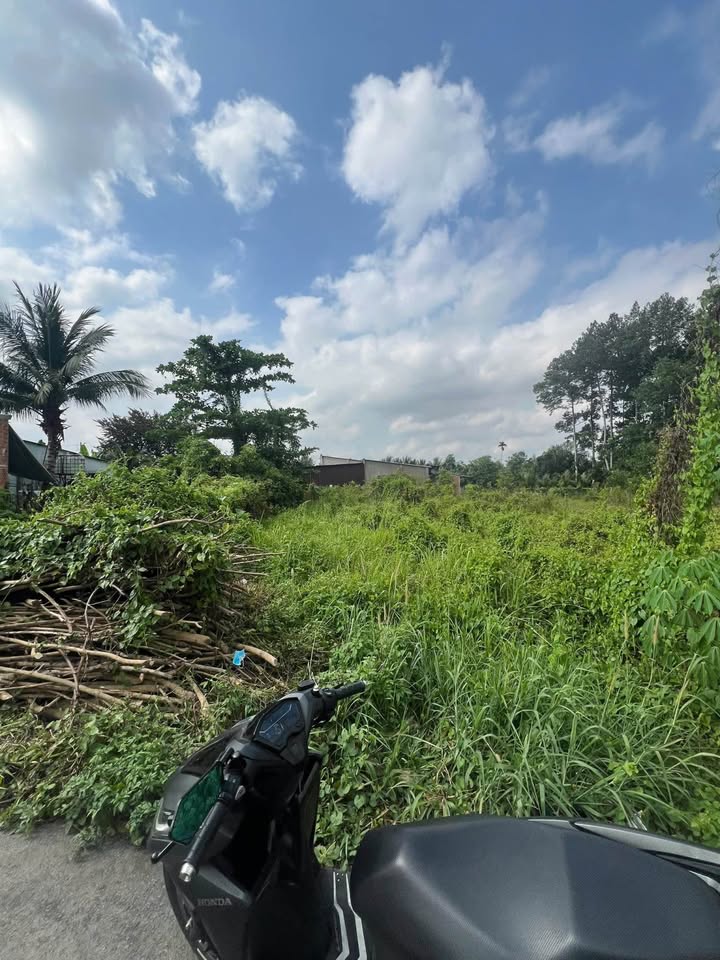 Đất thổ cư An Tây Bến Cát 252m² giá 1.68 tỷ - Mặt tiền đường nhựa rộng rãi!