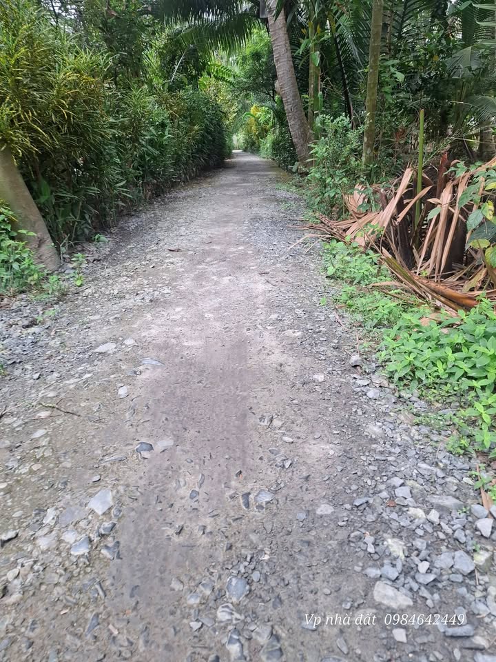 Đất nền Phước Mỹ Trung 240m² giá 370 triệu - Đất thổ cư tiện lợi