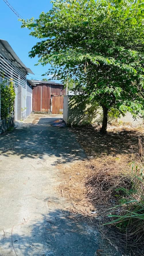 Đất nền Phú Tân, Bến Tre 148m² giá 975 triệu - Đối diện chợ Tú Điền!