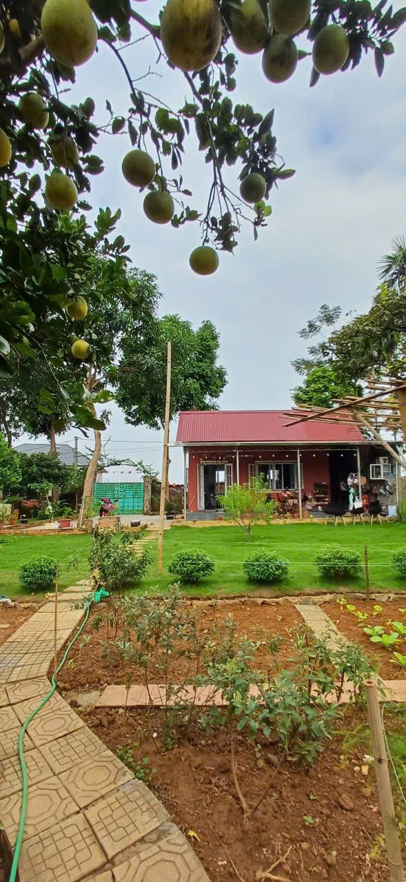 Đất Farm Hòa Thạch Quốc Oai 786m² giá thỏa thuận - Mặt tiền rộng 17m, sẵn sổ đỏ chính chủ!