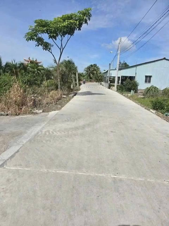 Đất nền Phú Ngãi Trị, Châu Thành, Long An 155m² giá 450 triệu - Cơ hội đầu tư tuyệt vời!