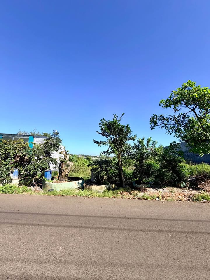 Đất nền Tân Xuân 1000m² giá 2.999 tỷ - Đầu tư sinh lời ngay!