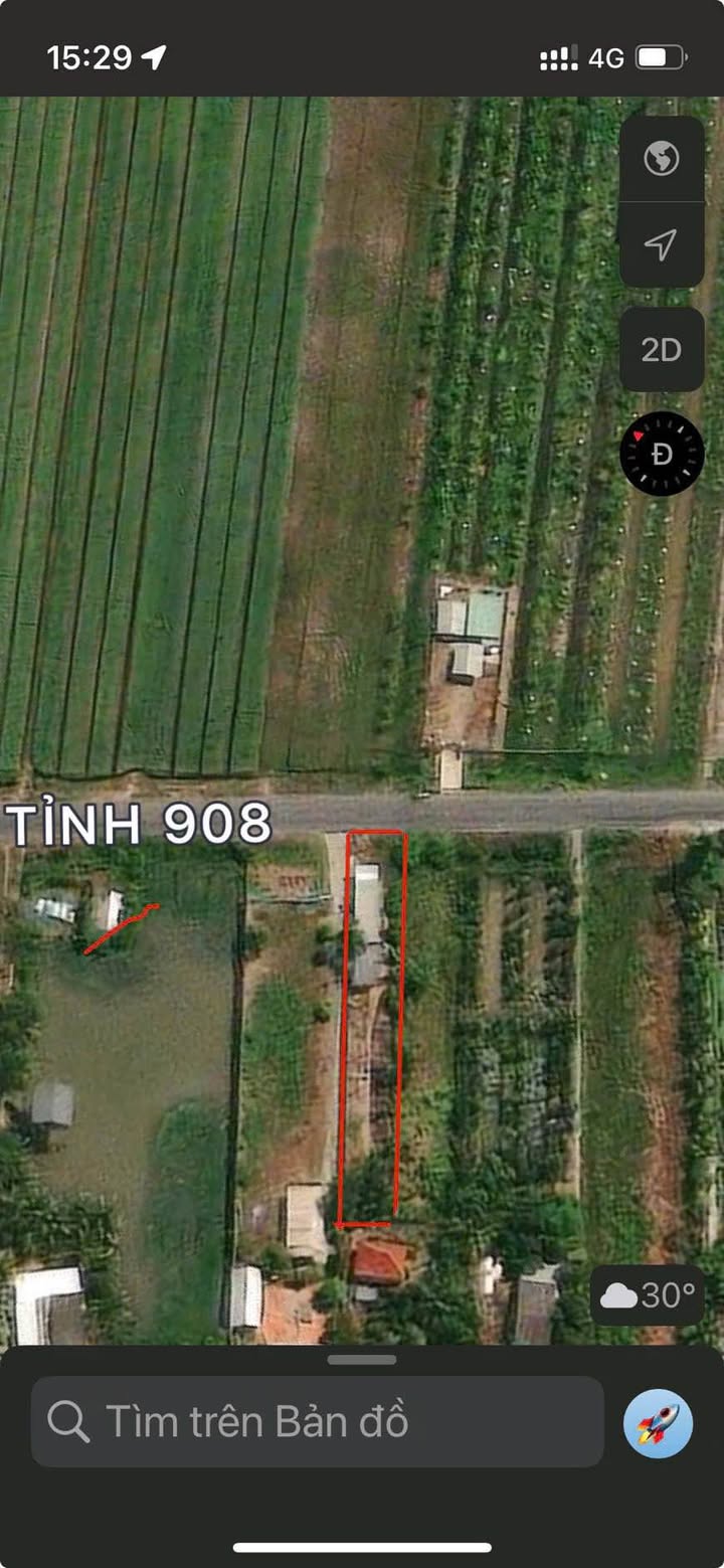 Đất thổ vườn mặt tiền DT908, xã Thành Trung, 505m² giá 950 triệu - Cơ hội sở hữu ngay!