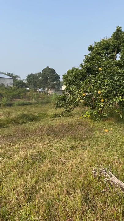 Đất Farm Thịnh Đức Thái Nguyên 5000m² giá 8 tỷ - Phong thủy tuyệt vời, sẵn sàng đầu tư!