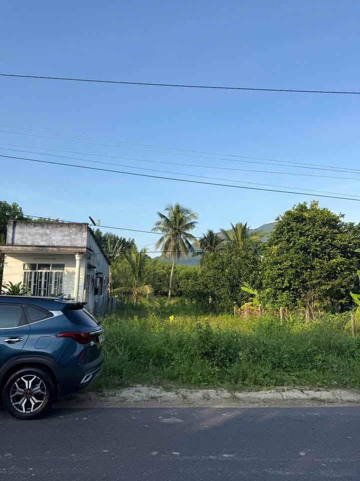 Đất thổ cư Diên Khánh 351m² giá chỉ 1.55 tỷ - Đầu tư sinh lời ngay!