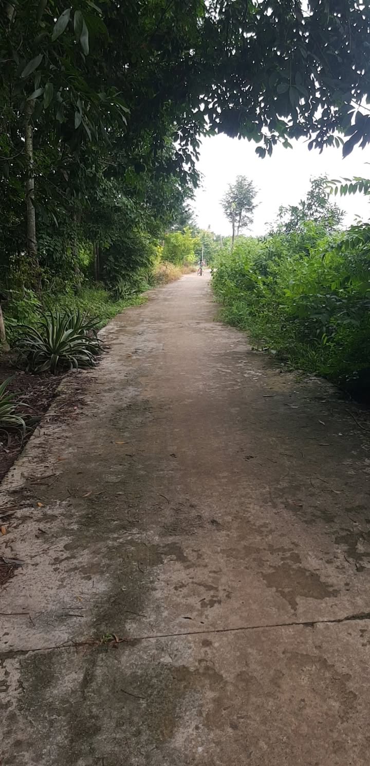 Đất nền Lộc Thiện Lộc Ninh 432m² giá chỉ 1xx triệu - Cơ hội đầu tư hấp dẫn!