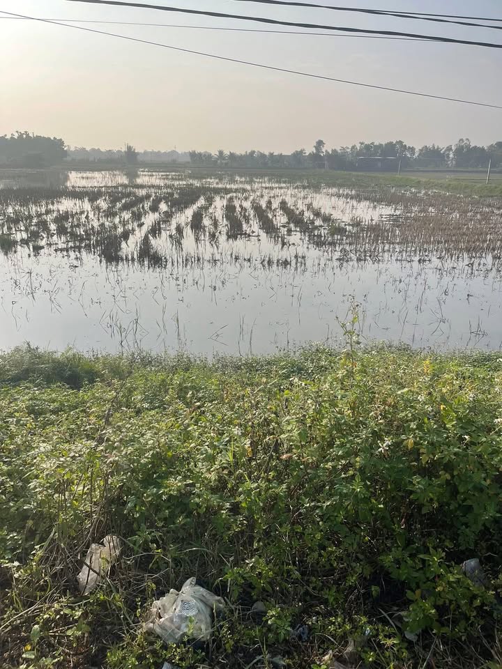 Đất nền Quảng Hợp, Thanh Hóa 100m² giá 1.2 tỷ - Bán gấp, cơ hội đầu tư!