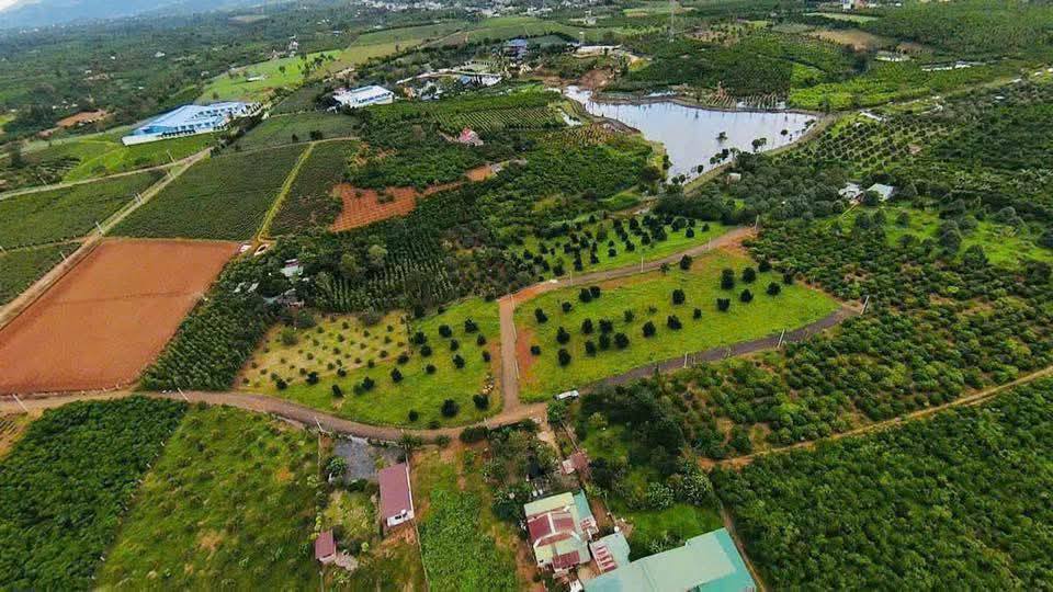 Đất nền Lộc An 738m² giá 2.8 tỷ - Tiềm năng nghỉ dưỡng tuyệt vời!