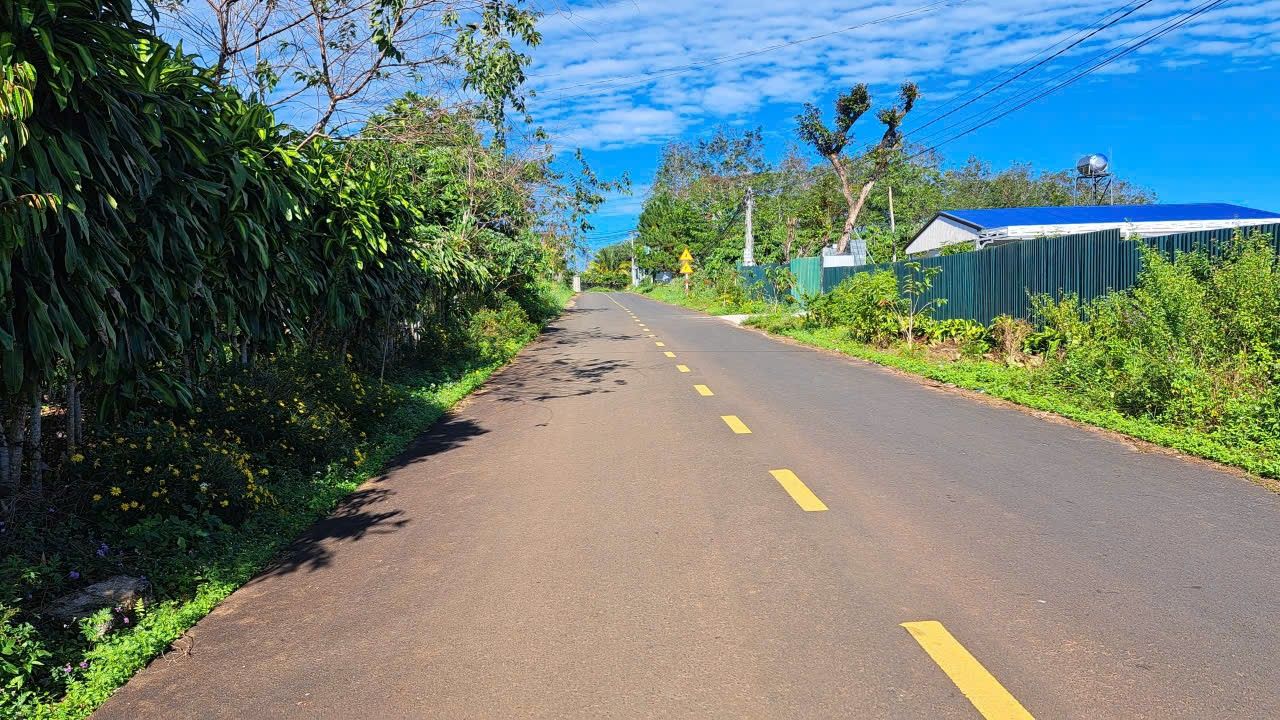 Đất nền hẻm 123 Mạc Đĩnh Chi, Bảo Lộc, 296m² giá 2 tỷ - Cơ hội đầu tư tuyệt vời!