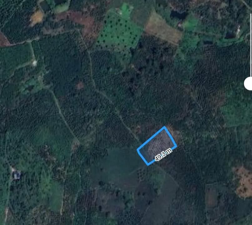 Đất Lộc Châu Bảo Lộc 200m² giá 680 triệu - Sổ đỏ chính chủ, thuận tiện đầu tư!