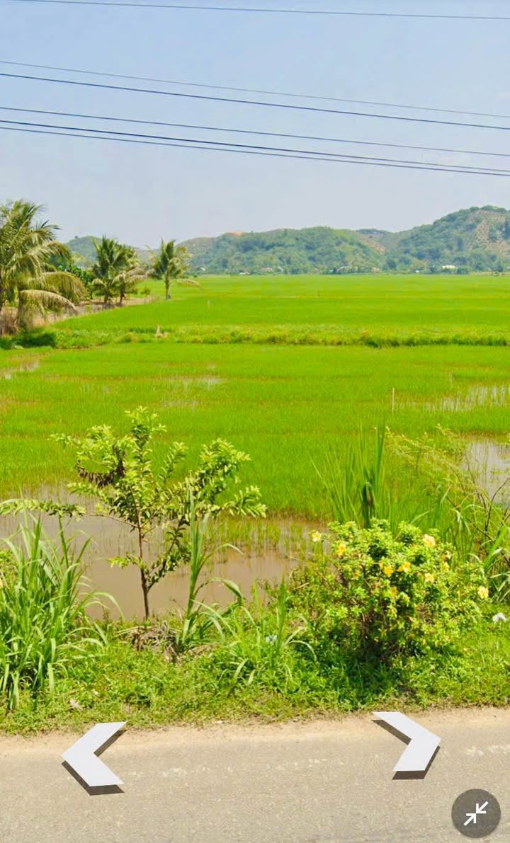 Đất nền 721 An Nhơn 960m² giá 960 triệu - Sổ đỏ chính chủ!