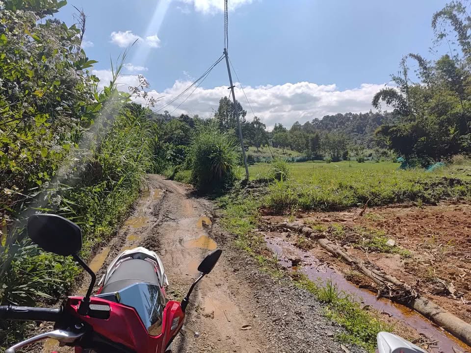 Đất nền 4000m² tại Liên Đầm, Di Linh - Giá kẹt chỉ 1.1 tỷ!