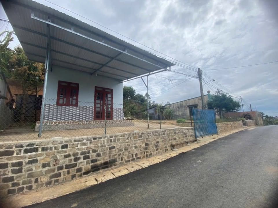 Nhà cho thuê hẻm 74 Lạc Long Quân, Lộc Nga 3 triệu/tháng - Không gian rộng rãi, sân vườn thoáng đãng!