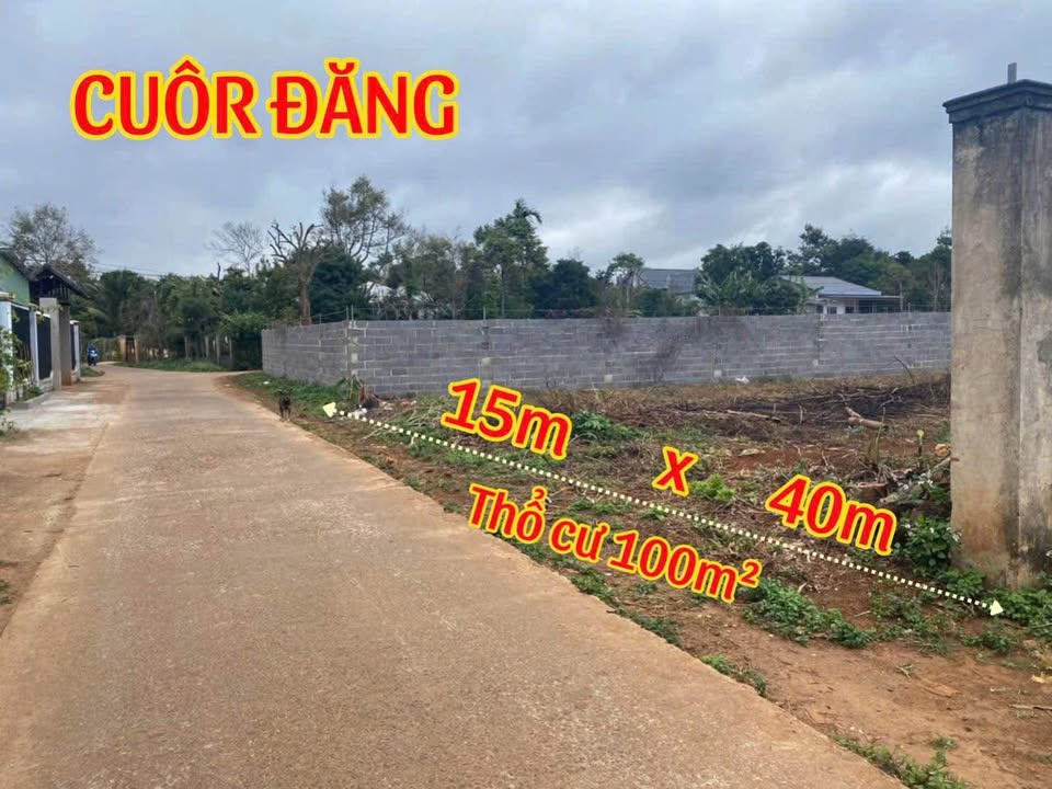 Đất thổ cư Cuôr Đăng, Cư M'gar 600m² giá 2.4 tỷ - Chính chủ bán gấp!