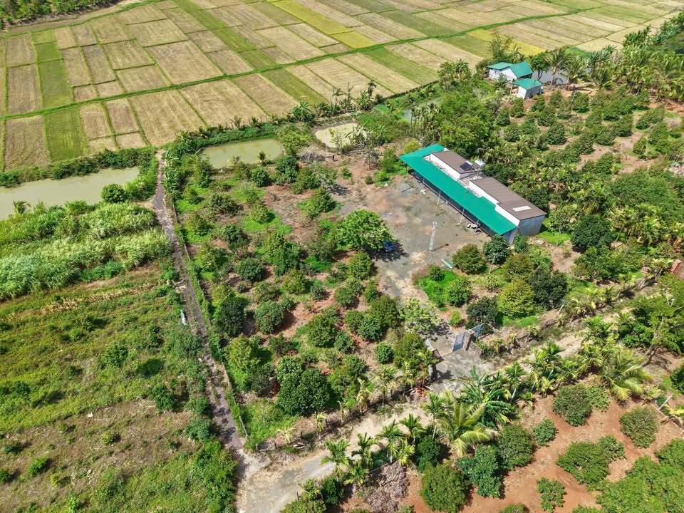 Nhà vườn 5.5 sào tại Cư Suê, Cư M'gar - Giá chỉ 4.1 tỷ VND, thương lượng!