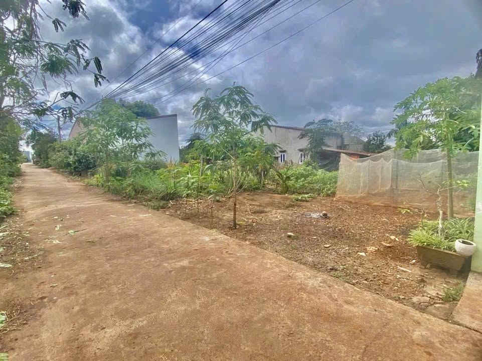 Đất nền mặt tiền đường A2, phường Cư Êbur 88m² giá chỉ 1.59 tỷ - Cơ hội đầu tư hấp dẫn!