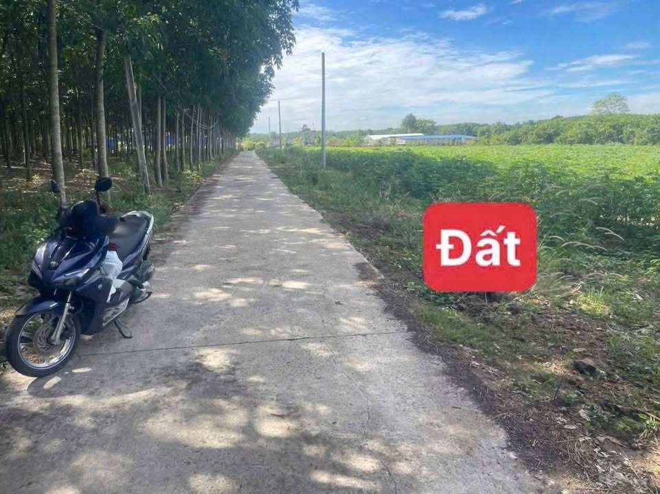 Đất nền Nha Bích Chơn Thành 210m² giá 3xx triệu - Đầu tư lý tưởng