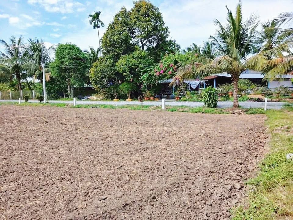 Đất nền Suối Dộp, Thái Bình, 1124m² giá chỉ 240 triệu - Đầu tư lý tưởng!