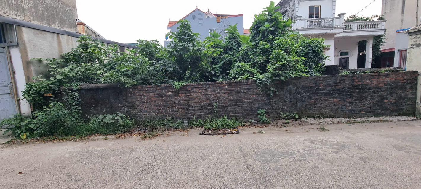 Đất Tiên Dương 170,5m² sát Vành Đai 3 - Cơ Hội Đầu Tư Hiếm Có!